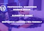 develop professional wordpress website design with responsive web design